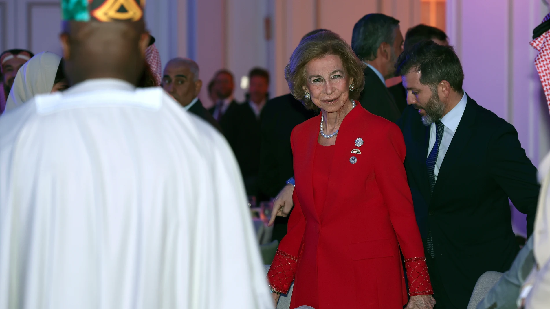 MADRID, 24/11/2025.- La reina Sofía a su llegada a la entrega del ´Premio Internacional Príncipe Talal para el Desarrollo Humano´ que se ha celebrado hoy lunes en el hotel Palace de Madrid. EFE / Kiko Huesca.