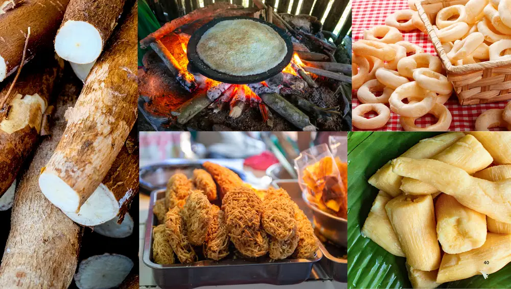 Planta de yuca (izq.) y platos hechos con ella