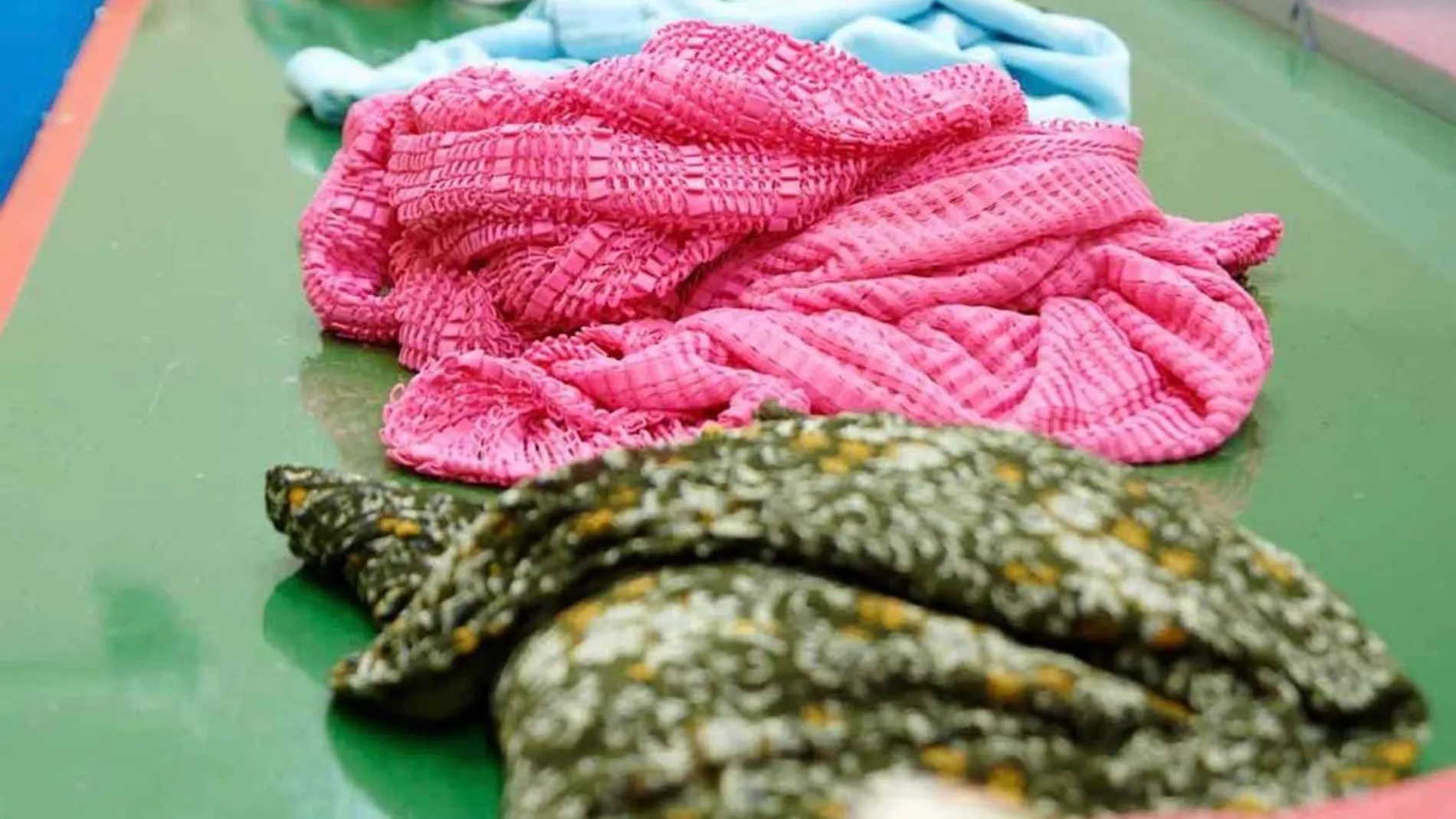 El proyecto Moda-re de Cáritas llega a Harvard