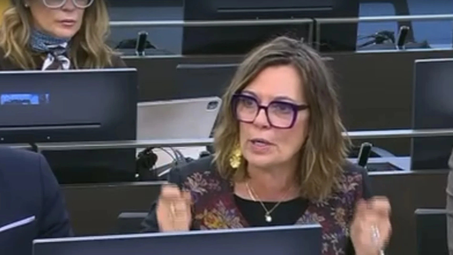Mila Marcos durante su intervención en la Comisión de Agricultura, Pesca y Alimentación del Congreso de los Diputados