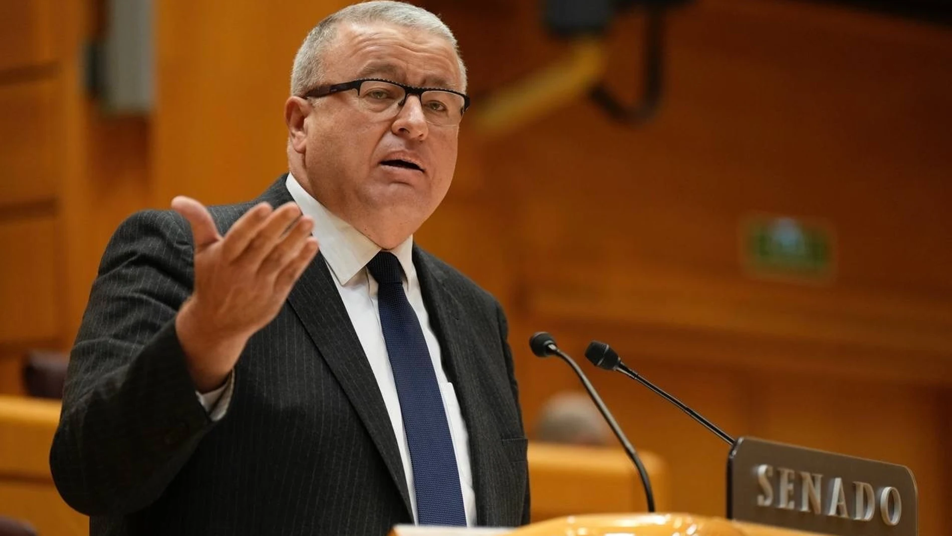 El senador del Partido Popular de la Región de Murcia Francisco Bernabé Sebastián Hipperdinger / Europa Press 25/11/2025