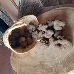 El Toro celebra la feria de su oro negro, la trufa