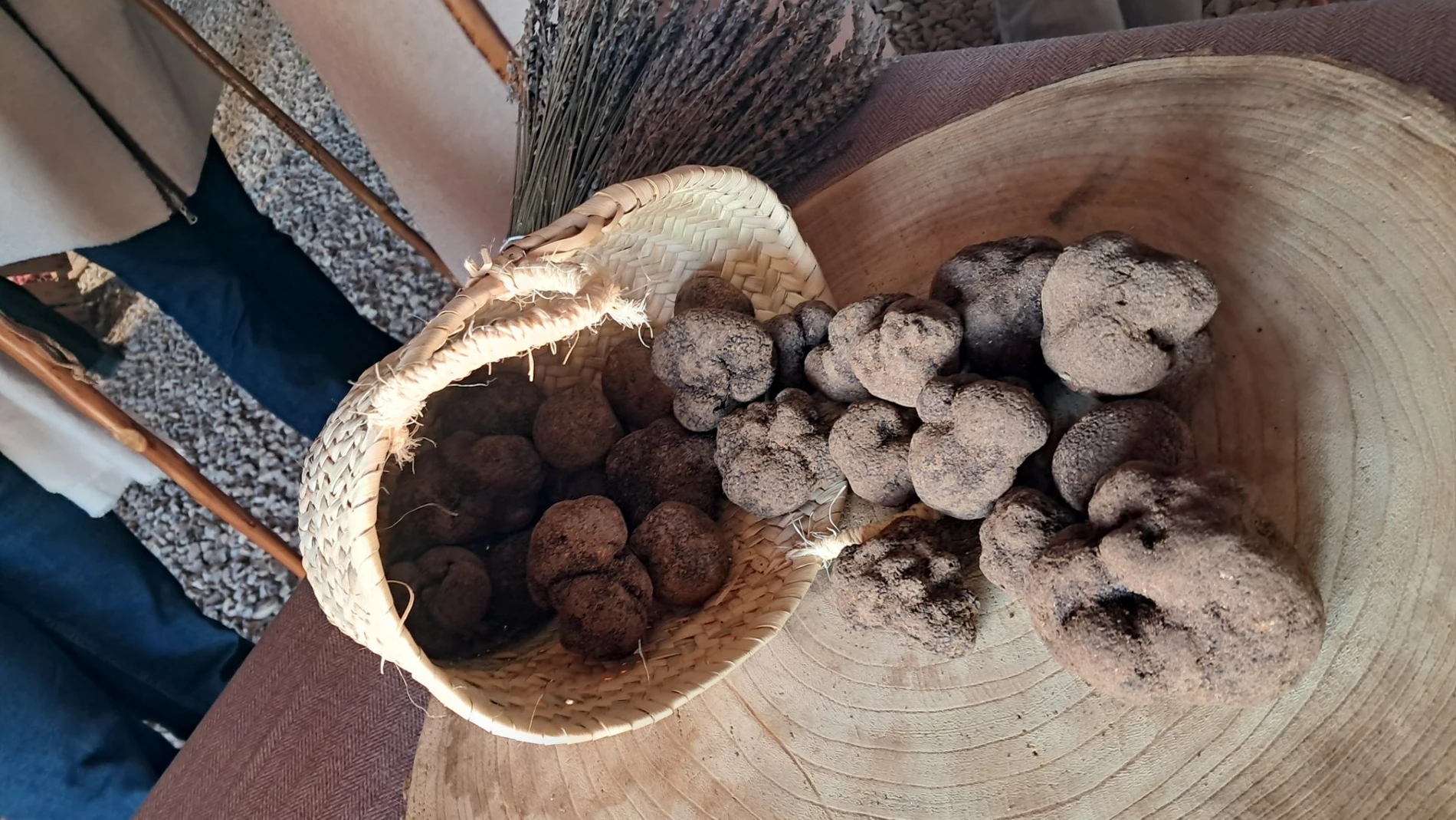 El Toro celebra la feria de su oro negro, la trufa