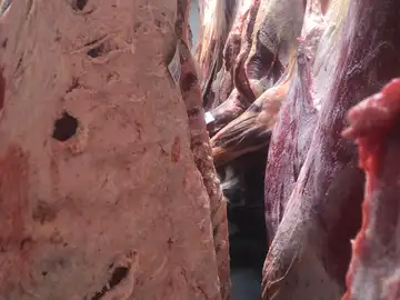 Situación crítica en los mataderos de Castilla y León Situación crítica en los mataderos de Castilla y León