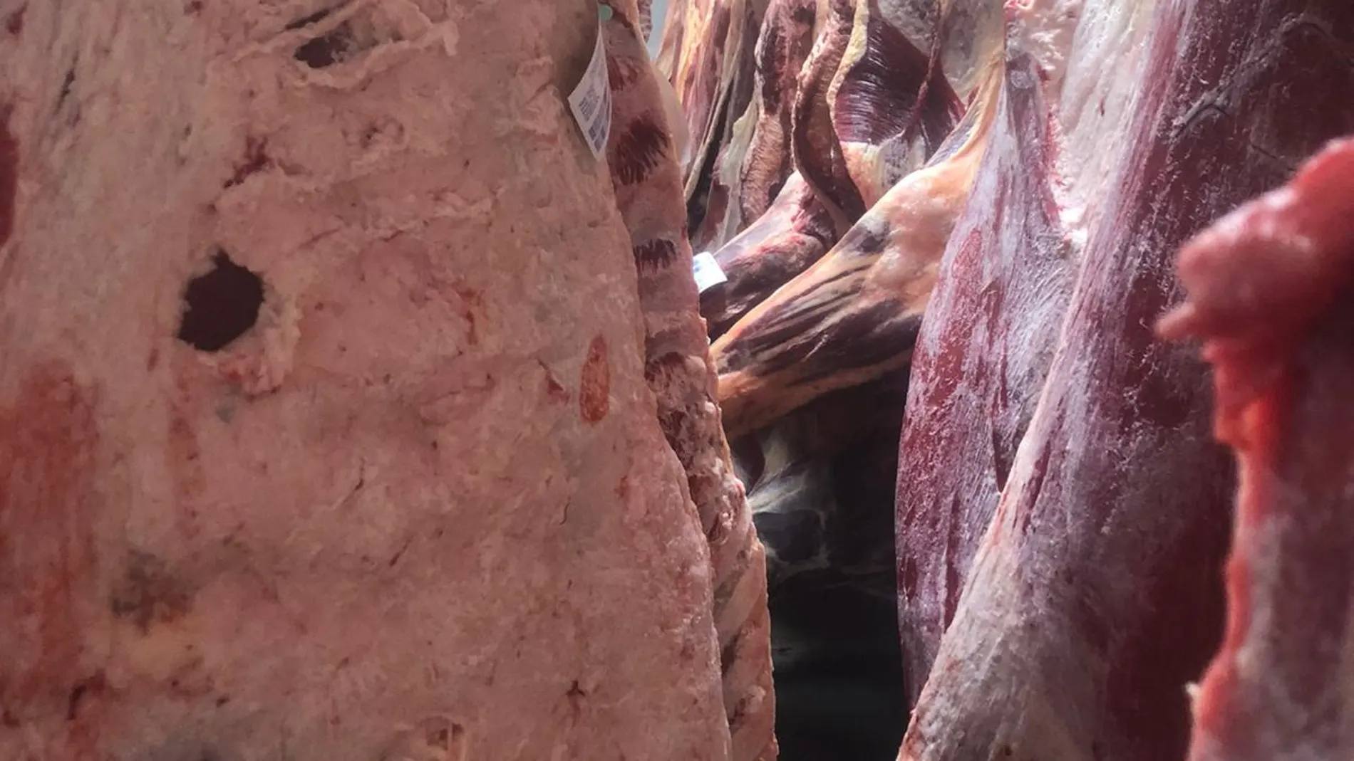 Situación crítica en los mataderos de Castilla y León