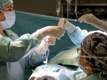 La callosotomía con láser tan solo requiere de unas tres incisión muy pequeñas para introducir las sondas del láser La callosotomía con láser tan solo requiere de unas tres incisión muy pequeñas para introducir las sondas del láser