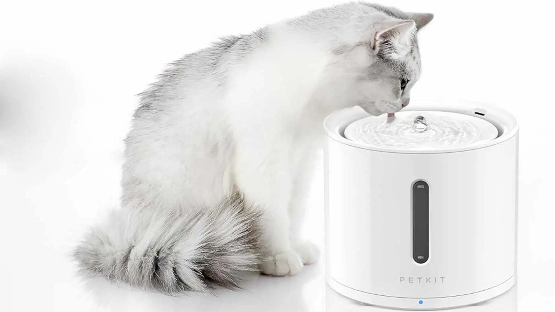 PETKIT EVERSWEET SOLO 2 permite comprobar su estado desde el móvil