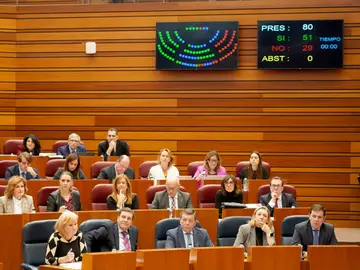 Bancada del PP y del presidente Mañueco con los consejeros durante una de las votaciones en las Cortes Bancada del PP y del presidente Mañueco con los consejeros durante una de las votaciones en las Cortes