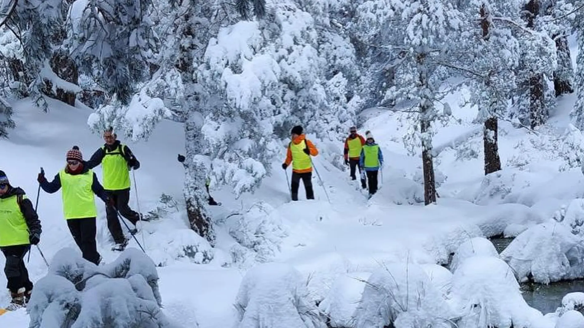 Esquiadores realizan una ruta por la nieve de la estación Punto de Nieve Santa Inés en Vinuesa (Soria)