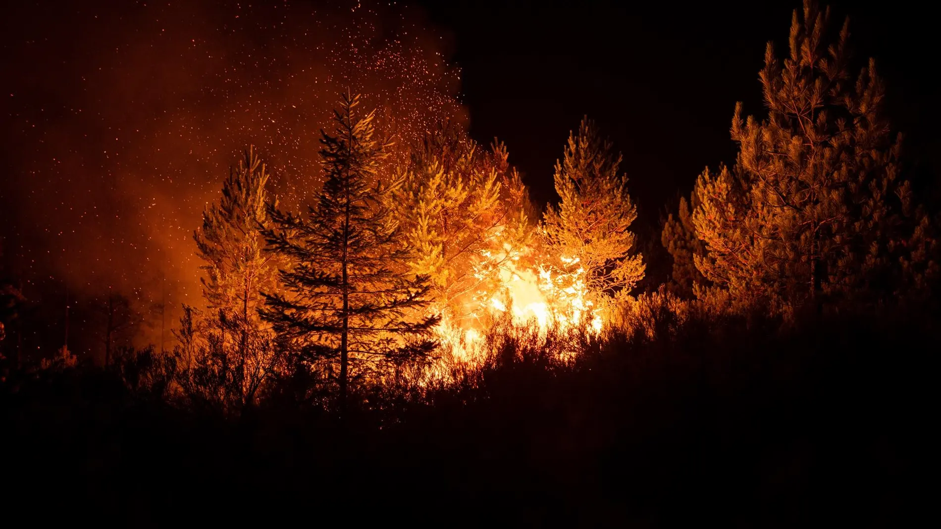 Incendios.-España acumula 392.923 ha quemadas hasta el 25 de noviembre, el 39,1% en toda la UE en 2025, según Copernicus