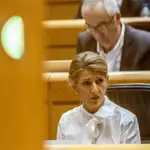 El Senado debate llevar dos conflictos de atribuciones con el Congreso de los Diputados ante el Tribunal Constitucional