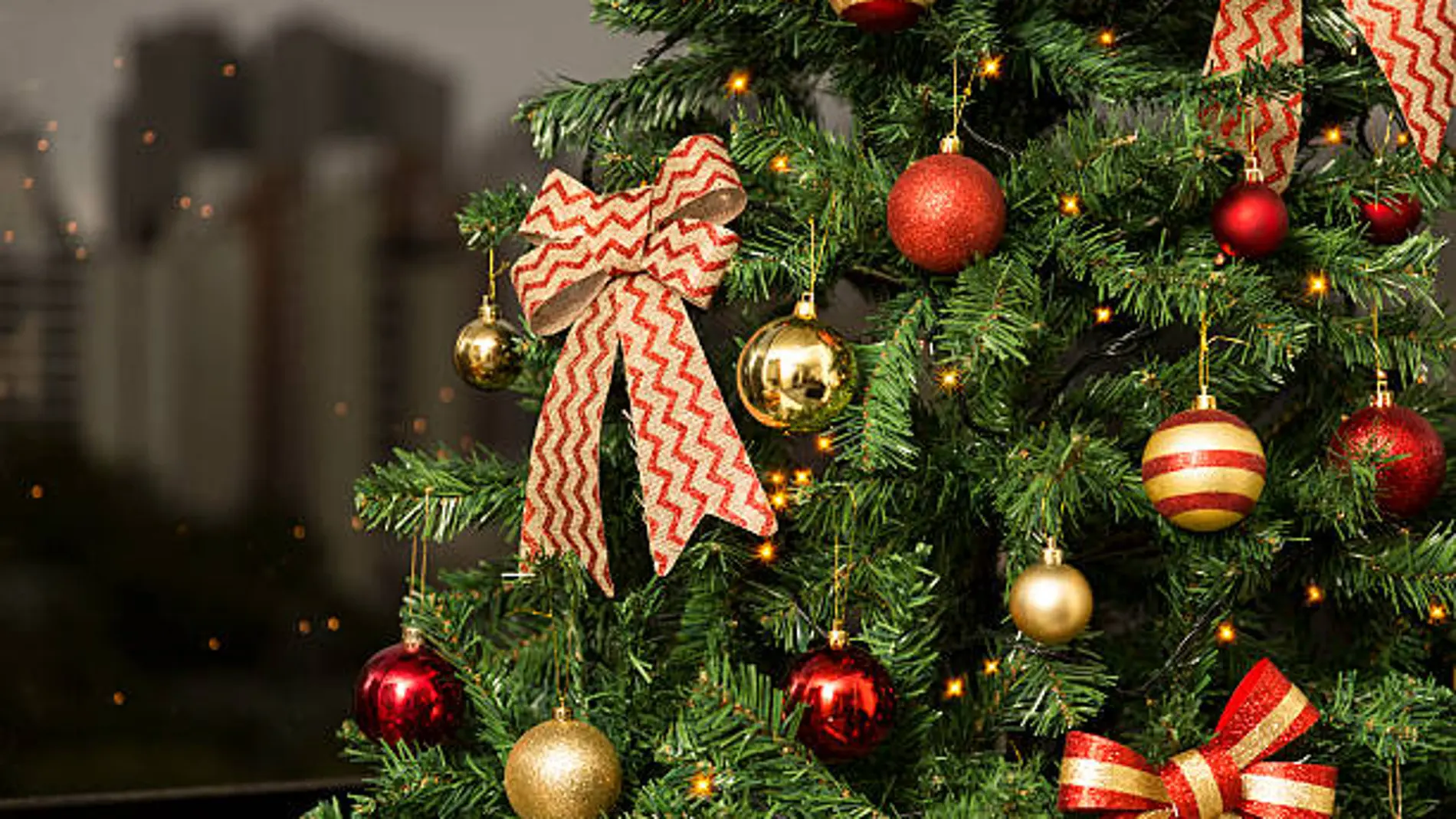 No pongas el árbol de Navidad sin antes hacer esto: puedes ahorrarte algún susto