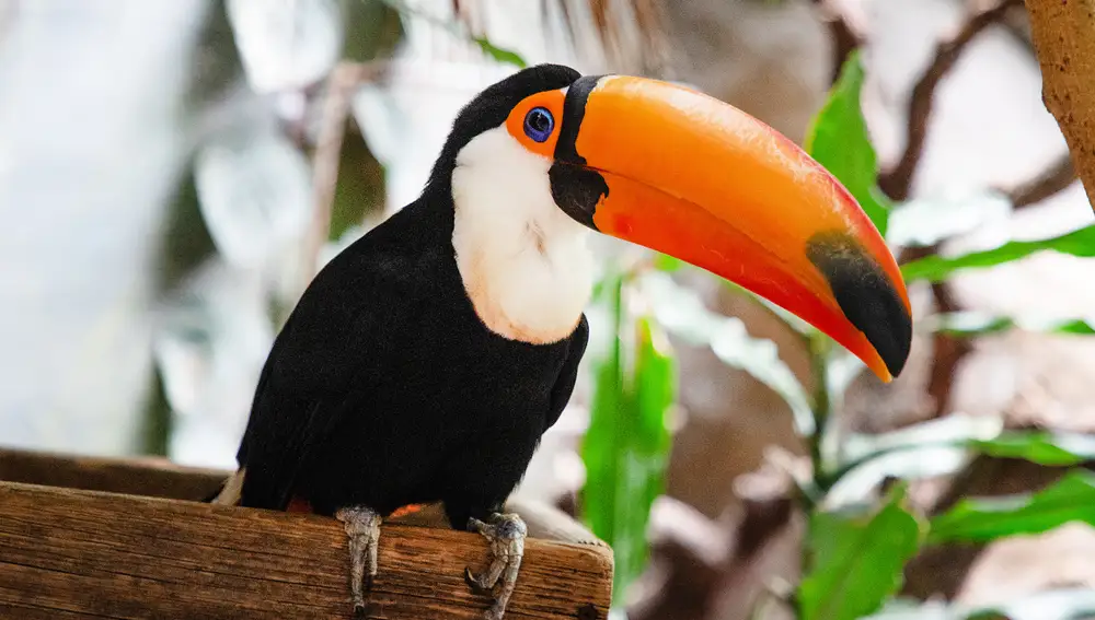 FAUNIA es un parque de la naturaleza único en Madrid.