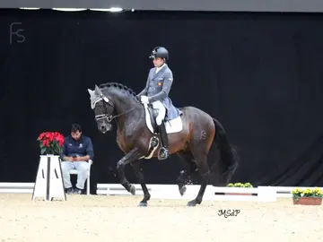 Norteño durante su participación Norteño durante su participación