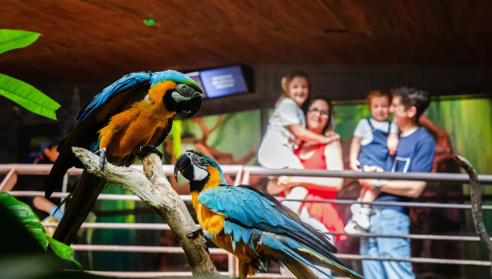 Aquí, cada ecosistema se recrea con rigor, cariño y detalle para que el visitante sienta que está explorando un rincón auténtico del planeta.