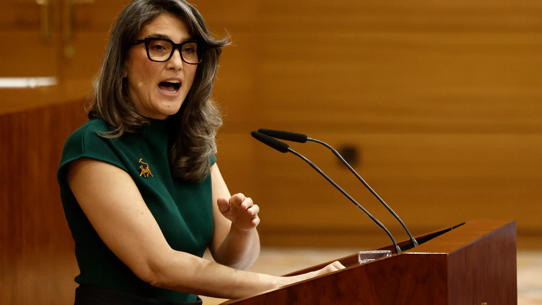 MADRID, 04/12/2025.- La portavoz de Más Madrid, Manuela Bergerot interviene en el pleno de la Asamblea madrileña, este jueves. EFE/ Sergio Perez