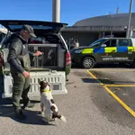 Madrid ha intensificado los análisis