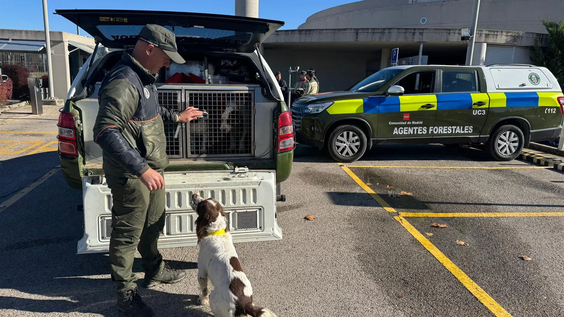Madrid ha intensificado los análisis