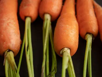 Las hortalizas que debes plantar en diciembre para tener verduras durante todo 2026 Las hortalizas que debes plantar en diciembre para tener verduras durante todo 2026