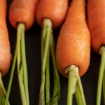 Las hortalizas que debes plantar en diciembre para tener verduras durante todo 2026