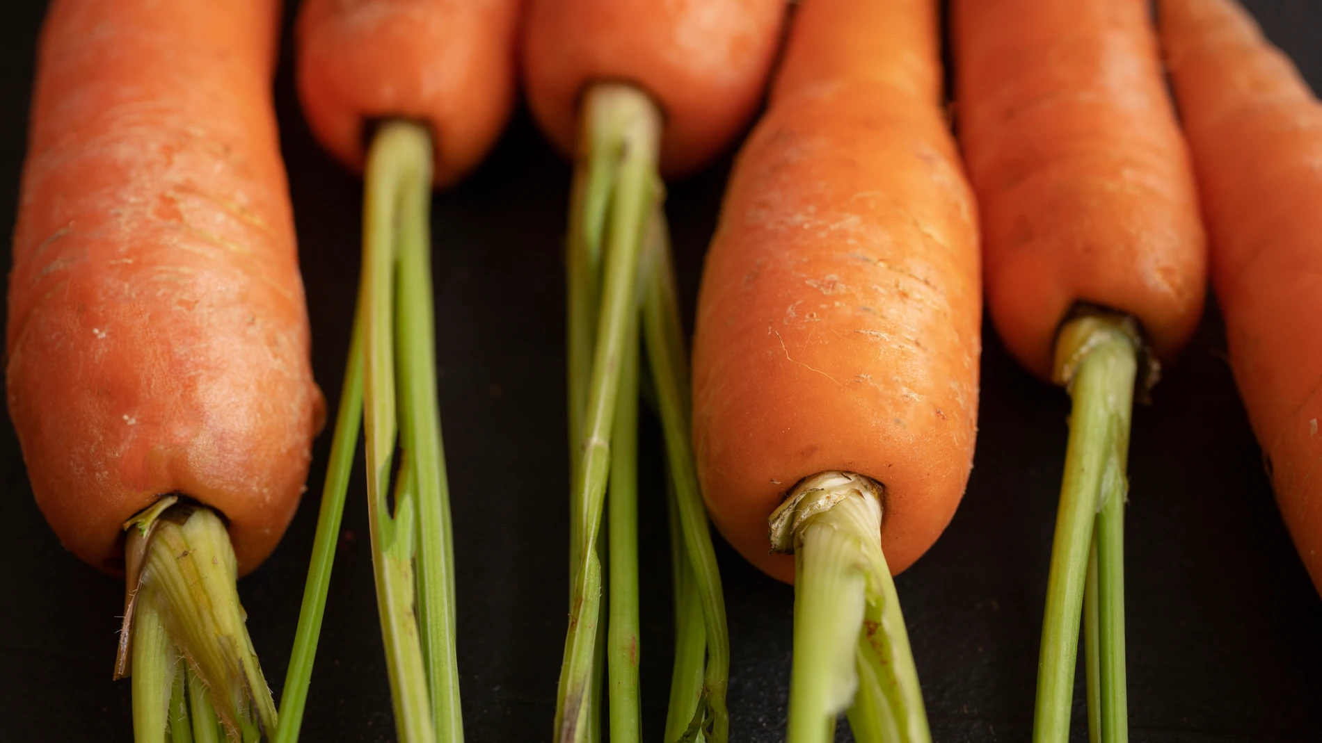 Las hortalizas que debes plantar en diciembre para tener verduras durante todo 2026