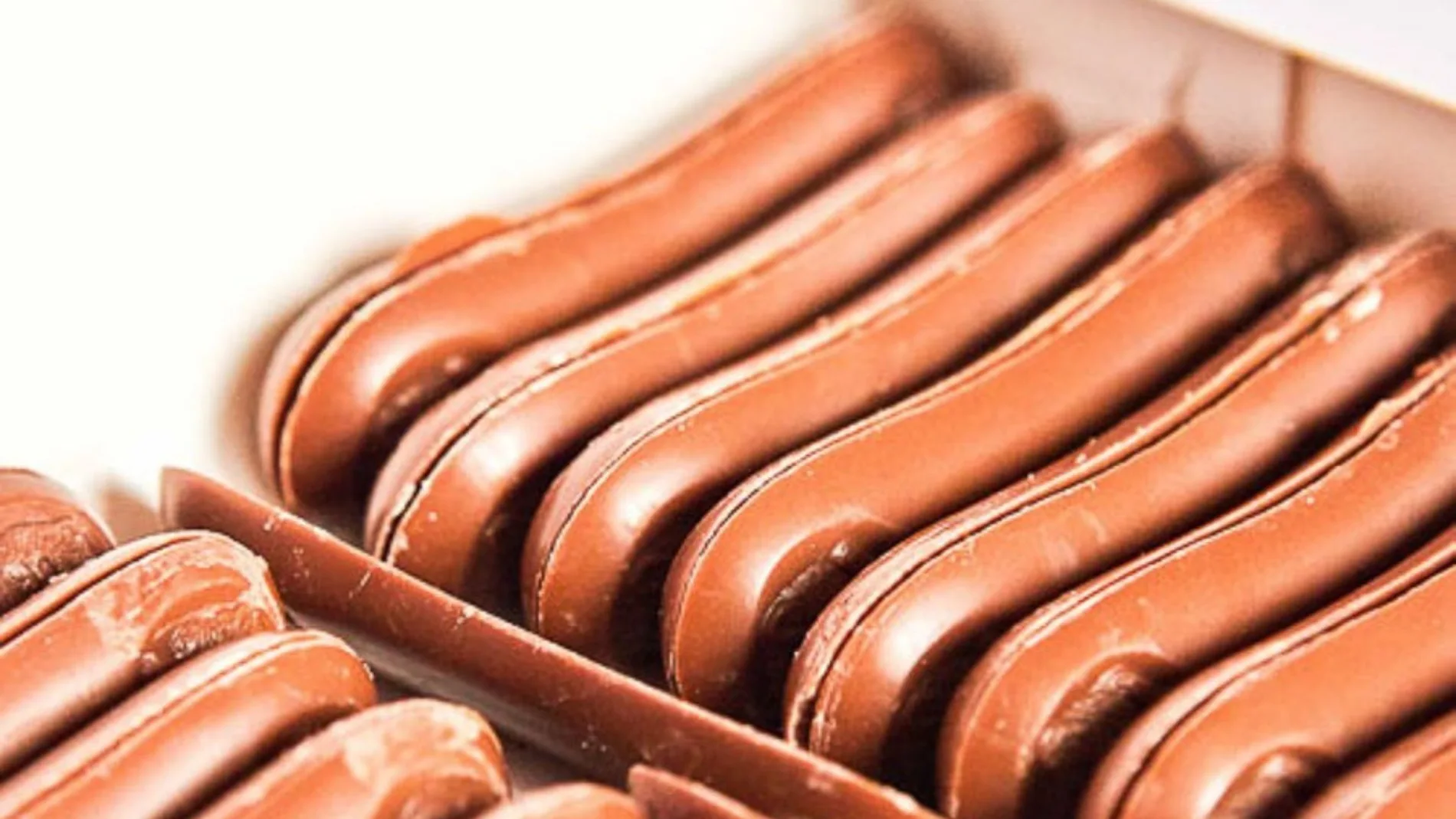 Lenguas de gato de chocolate