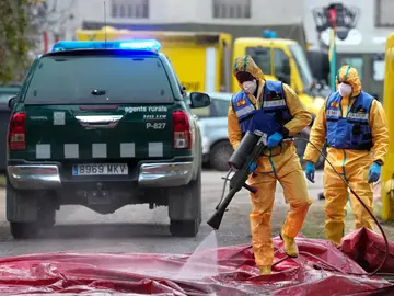 La UE amplía a 91 municipios las restricciones por peste porcina, pero deja fuera Osona FOTODELDÍA - . CERDANYOLA DEL VALLÈS (BARCELONA) (ESPAÑA), 04/12/2025.-Desinfección por parte de la UME de un vehículo de un vehículo de los Guardias Forestales a la entrada del Centro de Recuperación de Fauna Salvaje de Torreferrusa , este jueves en que la Unión Europea (UE) ha ampliado de 64 a 91 los municipios de la zona afectada por el brote de peste porcina africana, que estarán sometidos a restricciones hasta el 28 de febrero de 2026, y ha dejado fuera de este perímetro las comarcas co...