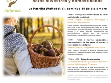 Cartel de la jornada "Del pinar a la mesa", que organiza Micocyl Cartel de la jornada "Del pinar a la mesa", que organiza Micocyl
