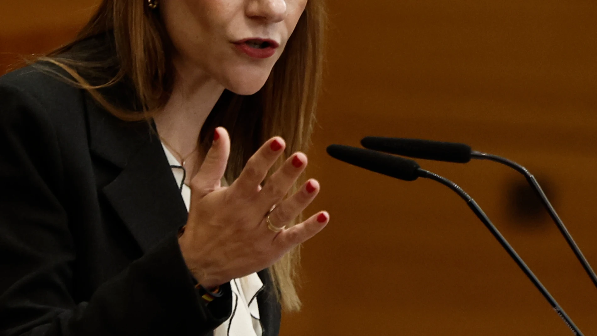 MADRID, 04/12/2025.- La portavoz de VOX, Isabel Pérez Moñino interviene en el pleno de la Asamblea madrileña, este jueves. EFE/ Sergio Perez