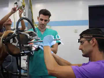 Sergio Soler, en plena intervención Sergio Soler, en plena intervención