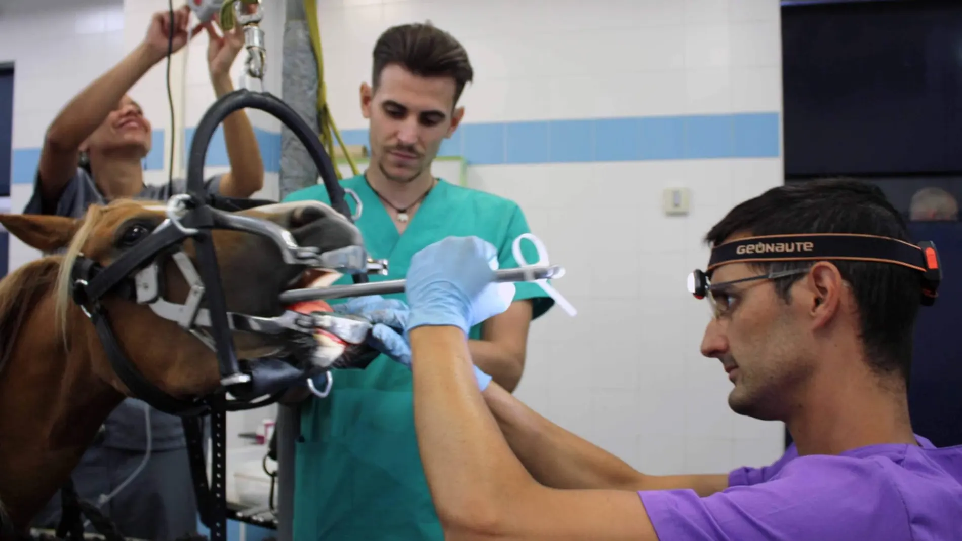 Sergio Soler, en plena intervención