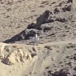 Posible robot en la frontera entre China y la India