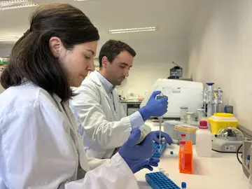 Los investigadores María Linares y Roberto García-Vicente en su laboratorio Los investigadores María Linares y Roberto García-Vicente en su laboratorio