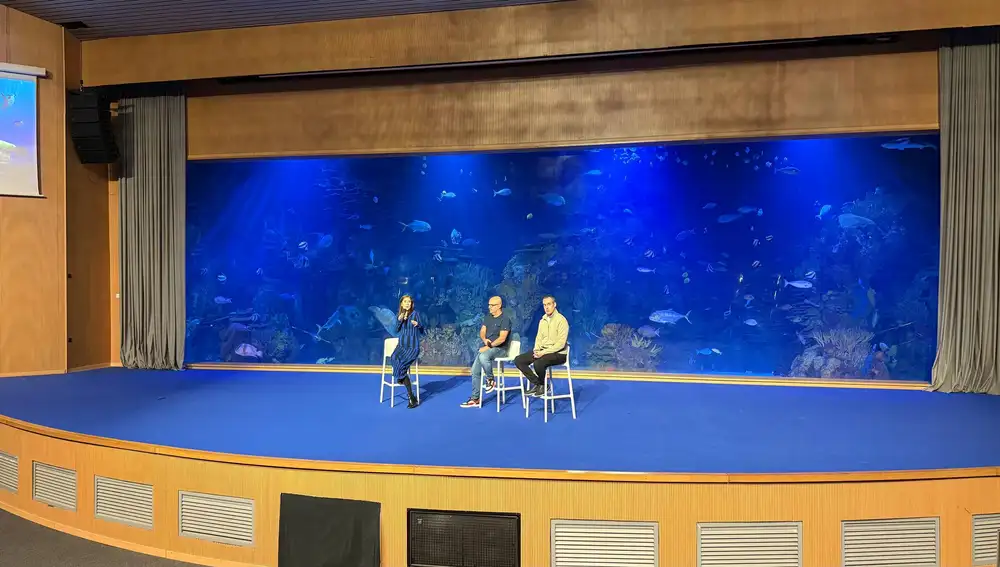 Ese rectángulo azul que ves lleno de peces, es una pecera real, no una proyección