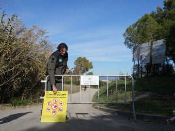 Refuerzo de espacios naturales para contener la peste porcina africana