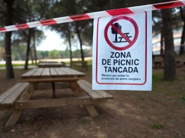 Zonas de picnic de la UAB cerradas tras un cartel alertando de la presencia de la peste porcina