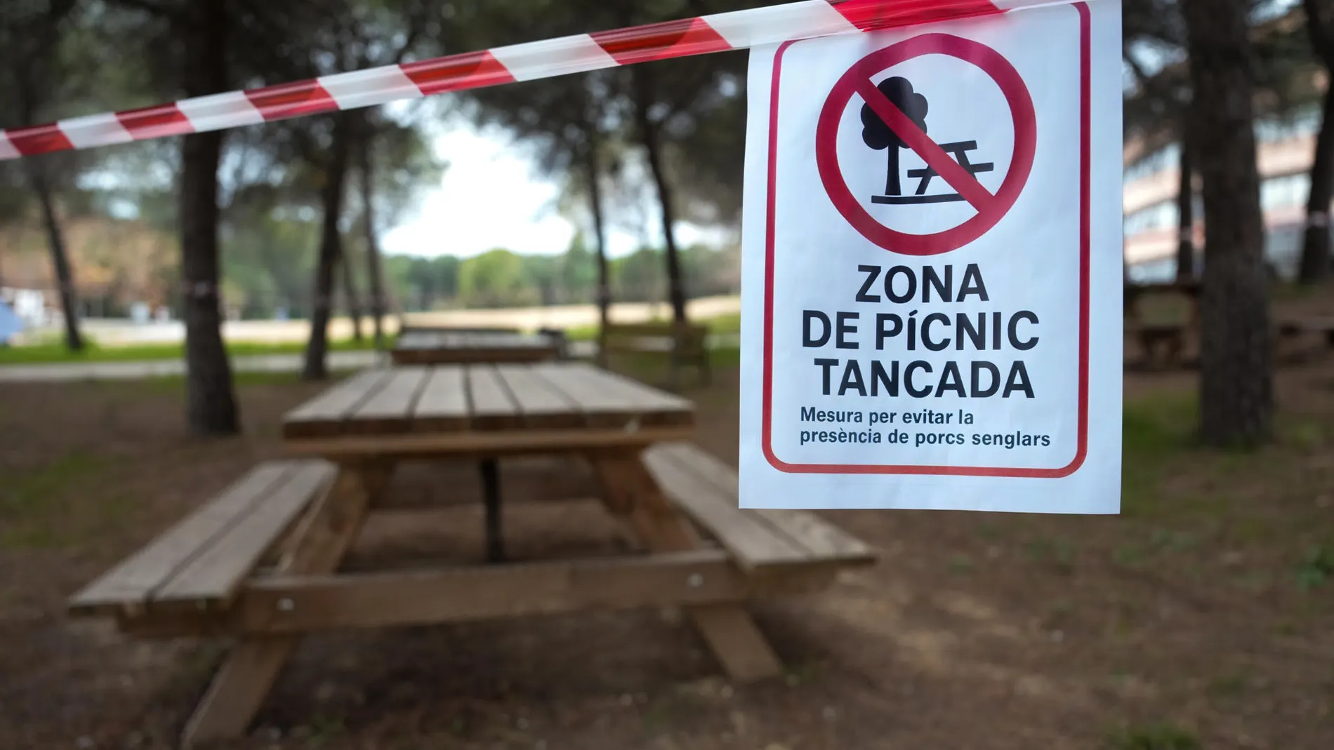 Zonas de picnic de la UAB cerradas tras un cartel alertando de la presencia de la peste porcina