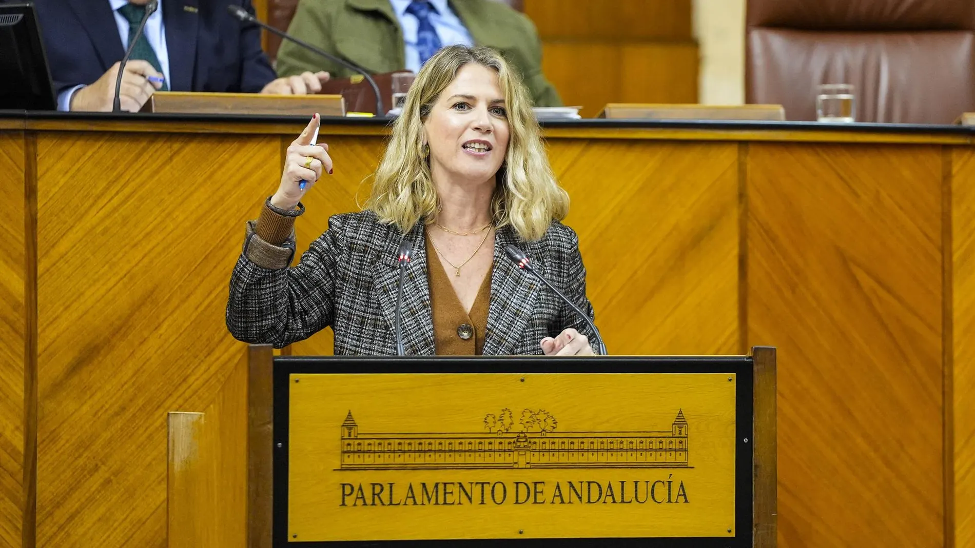 BORRADOR: Ana Mestre reivindica una legislatura “de esplendor institucional” en Andalucía
