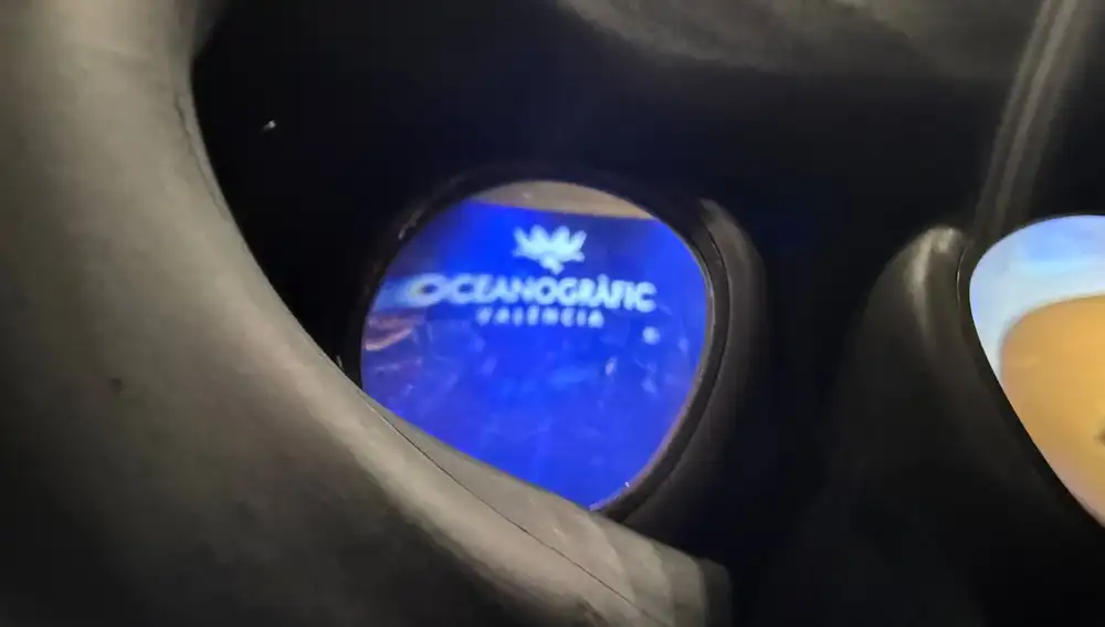 El logo del Oceanogràfic en las Meta Quest