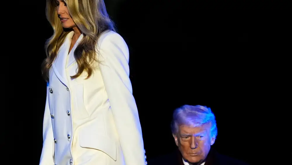 Trump Christmas Tree