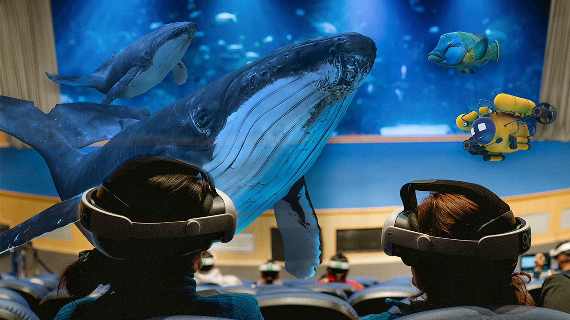 Una ballena pasando a pocos centímetros de los espectadores