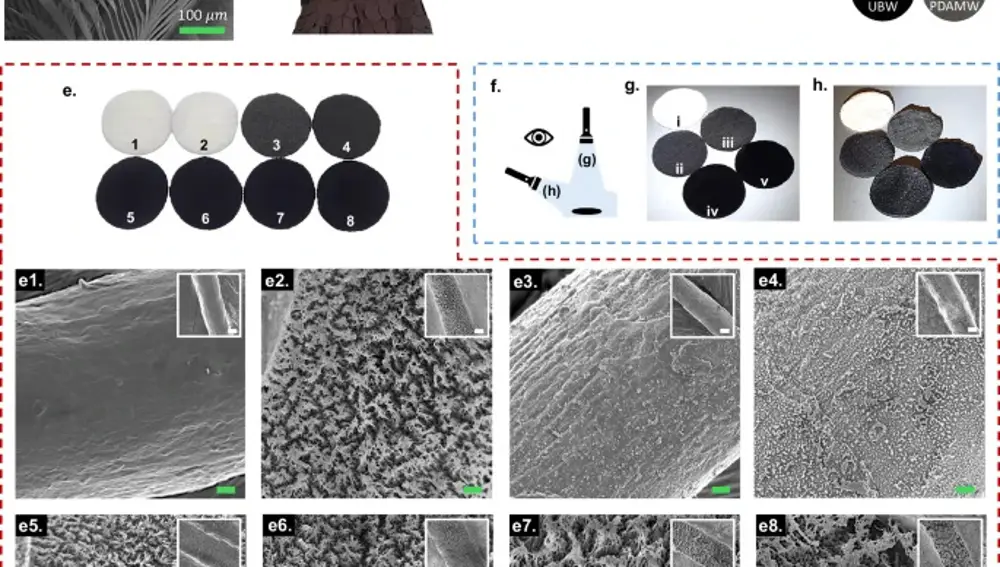 Análisis visual y microscópico de nanoestructuras y microestructuras