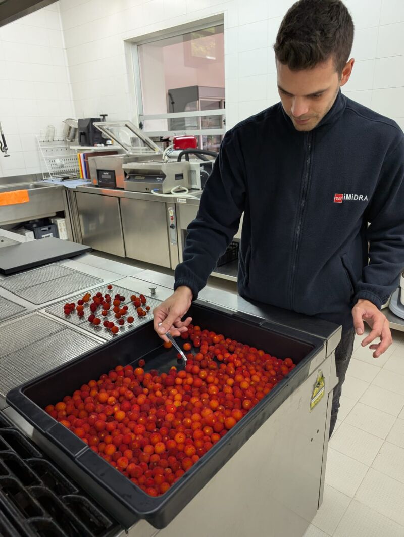 Trabajo con el madroño en IMIDRA