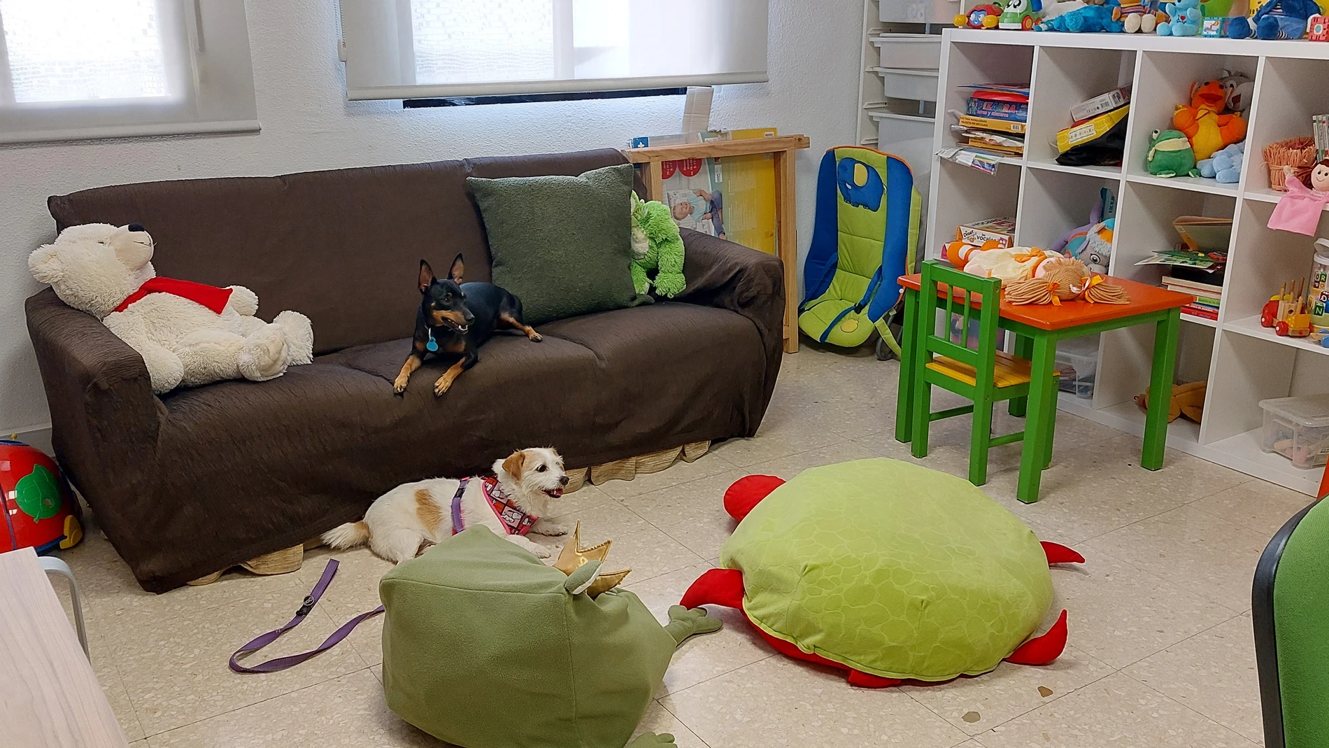 Cami, Canela, Rai y Lina: la ‘patrulla canina’ de la Justicia andaluza