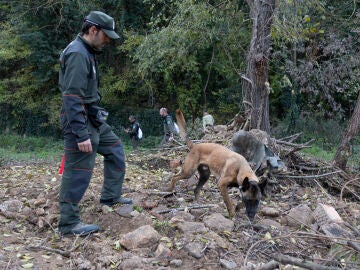 El Cuerpo de Agentes Rurales del Departamento de Interior y Seguridad Pública muestra cómo se trabaja con los agentes caninos en la localización de ejemplares de jabalíes infectados
