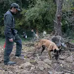 El Cuerpo de Agentes Rurales del Departamento de Interior y Seguridad Pública muestra cómo se trabaja con los agentes caninos en la localización de ejemplares de jabalíes infectados