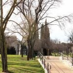 El Cerro Almod&oacute;var se prepara para su transformaci&oacute;n en 7 meses: m&aacute;s &aacute;rboles y mejora del entorno y la accesibilidad