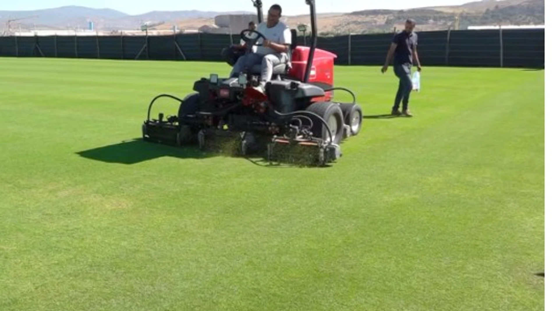 Un aspecto del vivero de césped