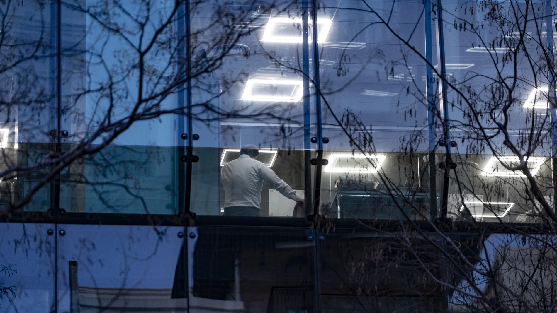 Trabajadores de oficina