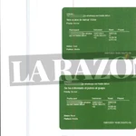 Putero contra el guapo